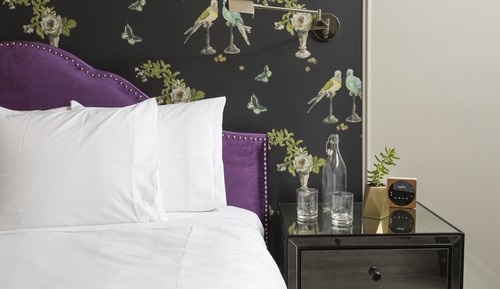 Room, 1 King Bed (Damen)
