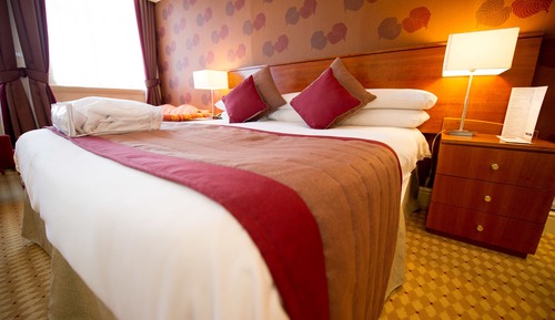 Standard King Room