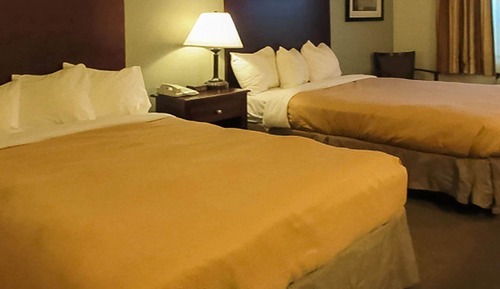 Standard Room, 2 Double Beds