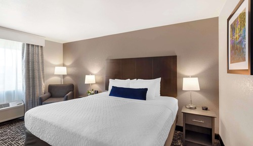 Standard Room, 1 King Bed, Non Smoking, Microwave