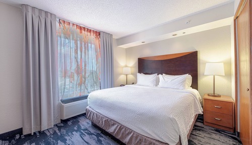 Room, 1 King Bed, Non Smoking
