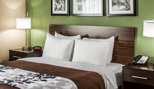 Standard Room, 1 Queen Bed, Non Smoking