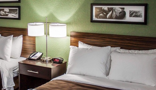 Standard Double Room, 2 Double Beds, Non Smoking