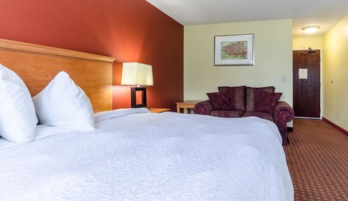 Room, 1 King Bed, Accessible, Non Smoking