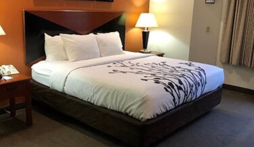 Room, 1 Queen Bed, Accessible, Non Smoking