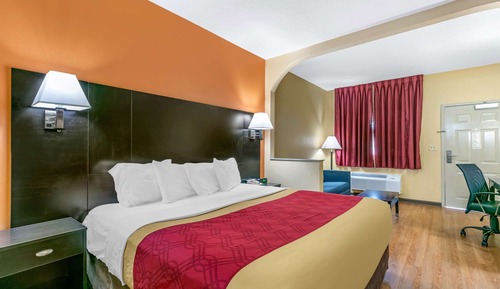 Standard Room, 1 King Bed with Sofa bed, Non Smoking