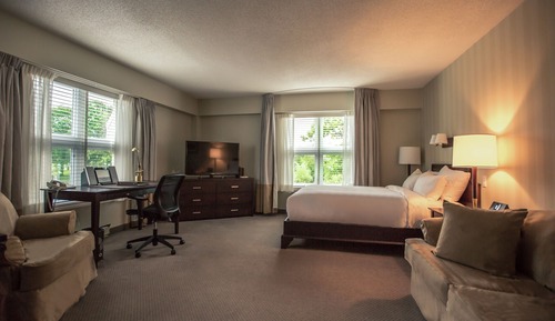 Business Room, 1 King Bed