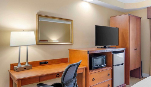 Standard Room, 1 King Bed, Non Smoking, Refrigerator & Microwave (Shower Only)