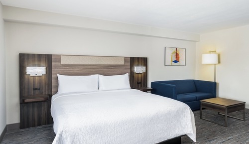 Standard Room, 1 King Bed with Sofa bed