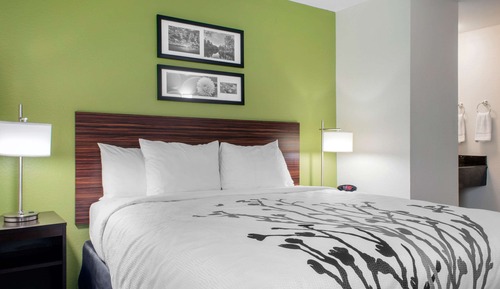 Room, 1 King Bed, Accessible with Roll-In Shower, Non Smoking