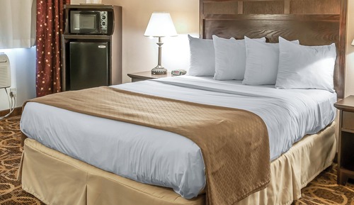 Suite, 1 Bedroom