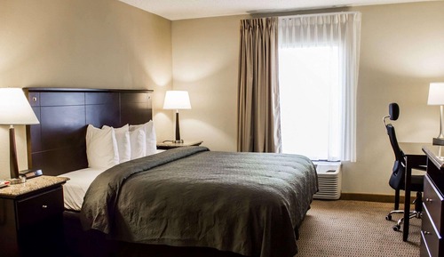 Room, 1 King Bed with Sofa bed, Non Smoking