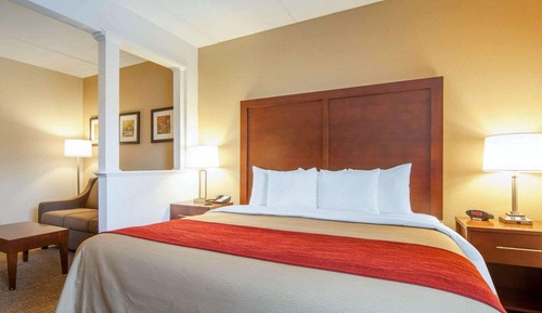 Suite, 1 King Bed with Sofa bed, Non Smoking