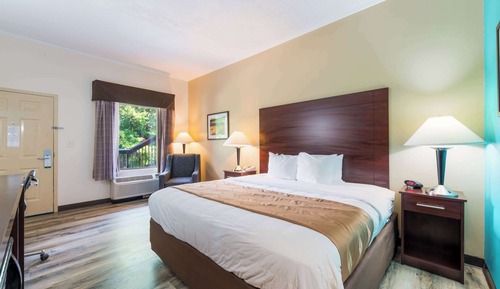 Room, 1 King Bed, Accessible, Smoking