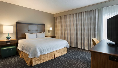 Room, 1 King Bed, Accessible, Bathtub (Mobility & Hearing)