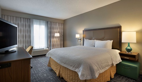 Room, 1 King Bed, Non Smoking