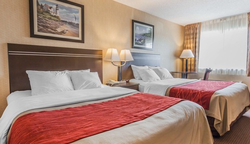 Room, 2 Queen Beds, Non Smoking