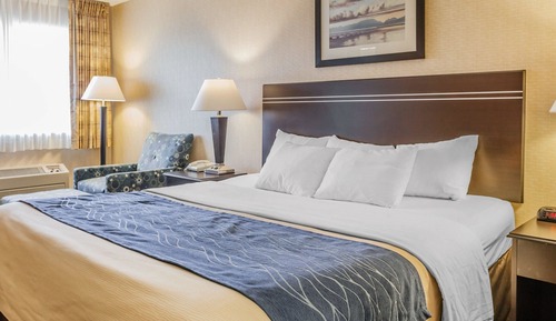Room, 1 Queen Bed, Non Smoking