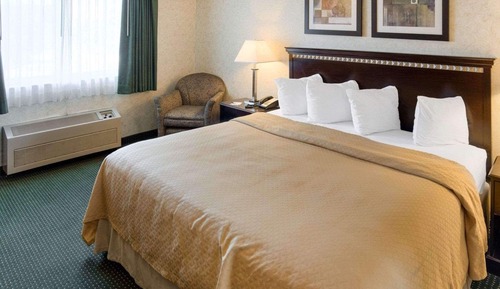 Standard Room, 1 King Bed, Non Smoking