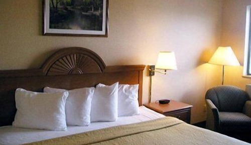 Standard Room, 1 King Bed, Non Smoking