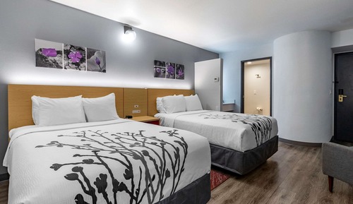 Standard Room, 2 Double Beds, Non Smoking