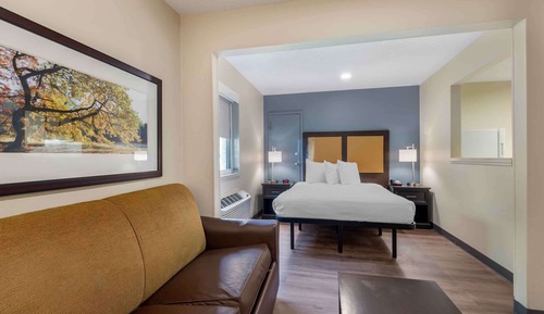 Deluxe Studio, 1 Queen Bed with Sofa bed, Non Smoking