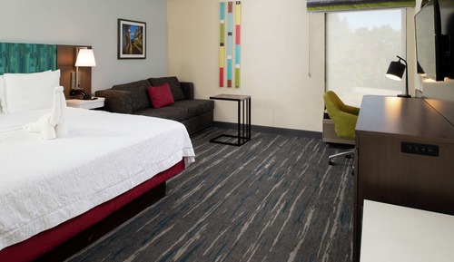 Room, 1 King Bed, Bathtub