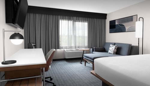 Room, 1 King Bed with Sofa bed (Hearing Accessible)