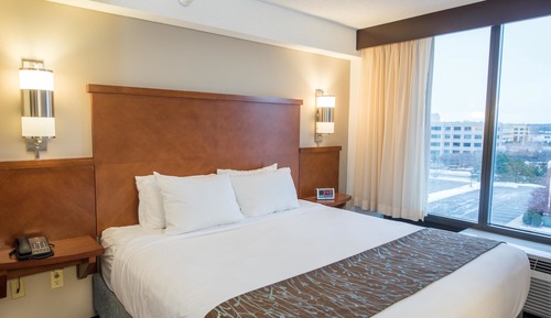 Room, 1 King Bed with Sofa bed (High Floor)