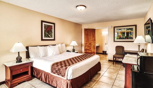 Standard Single Room, 1 King Bed