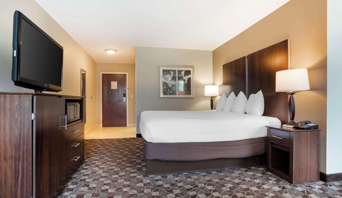 Standard Room, 1 King Bed, Non Smoking, Refrigerator & Microwave (with Sofabed)