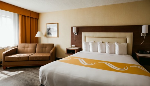 Business Room 1 King Bed with sofa bed Non Smoking