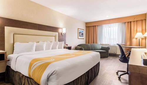 Business Room, 1 King Bed, Non Smoking