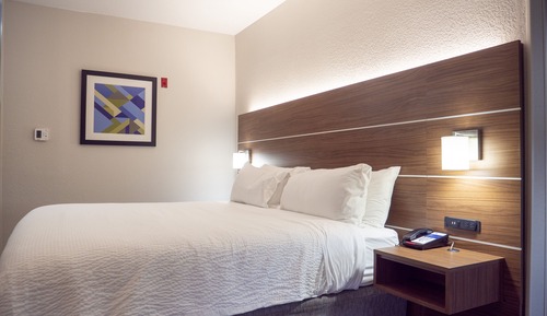 Suite, 1 King Bed with Sofa bed