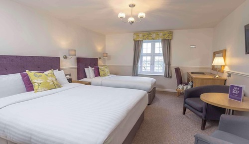 Family Room, Multiple Beds, Non Smoking