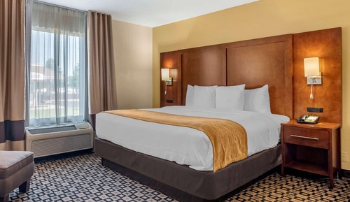 Standard Room, 1 King Bed, Non Smoking
