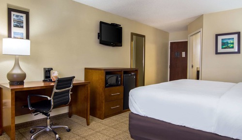 Room, 1 King Bed, Non Smoking