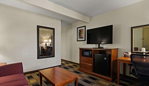 Suite, 1 King Bed, Non Smoking (with Sofabed)