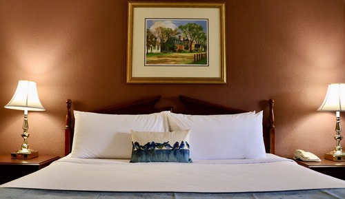 Classic Room, 1 King Bed, Non Smoking