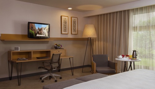 Brisas Business Club 1 king bed