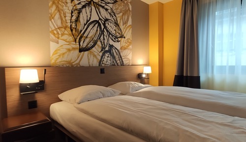 Superior Single Room