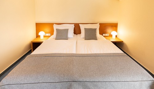 Superior Room, 1 Twin Bed