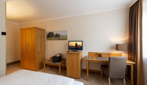 Comfort Single Room