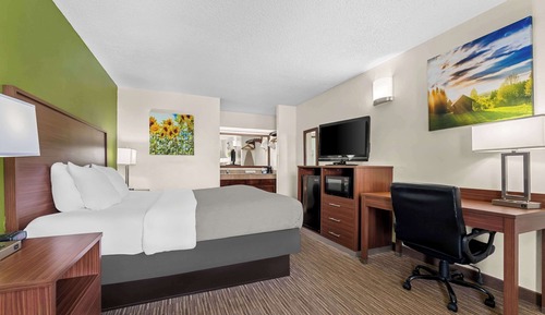Room, 1 King Bed