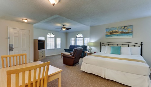 Studio, 1 King Bed, Accessible