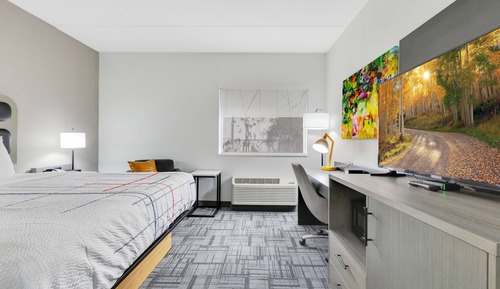 Room, 1 King Bed, Non Smoking