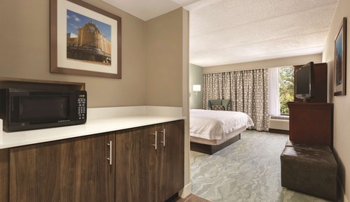 Room, 1 King Bed, Refrigerator & Microwave