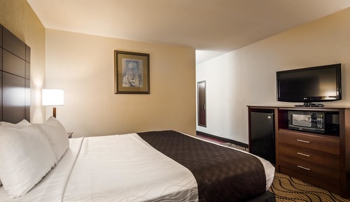 Standard Room, 1 King Bed, Non Smoking, Microwave