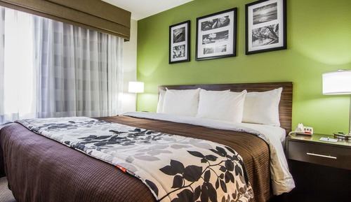 Standard Room, 1 King Bed, Accessible, Non Smoking (Roll-In shower)
