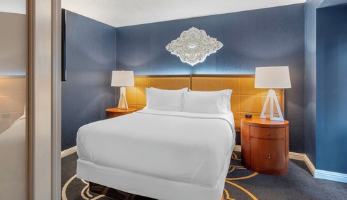 Accessible Deluxe Suite 1 Queen Bed